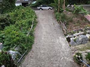 a brick path in a garden with plants at mango guest house in La Ferme +4 photos