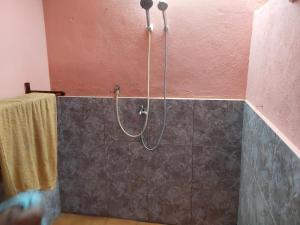 a shower with a hose hanging on a wall at mango guest house in La Ferme