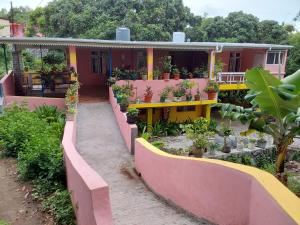 a house with a garden with potted plants on it at mango guest house in La Ferme