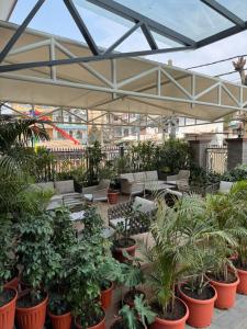 a patio with a lot of plants in pots at Tashi Tagay Hotel & Apartment in Kathmandu