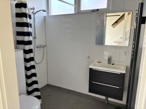 a bathroom with a sink and a mirror at De Rakken in Woudsend +43 photos