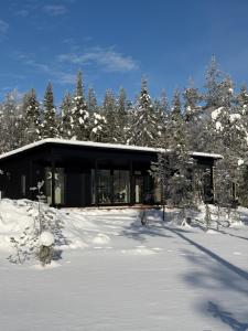 a building in the snow with trees at Modern VillaJoenhelmi with jacuzzi and sauna in Kuusamo