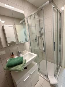 a bathroom with a glass shower and a sink at Ferienwohnung Hopfentraum in Alpirsbach