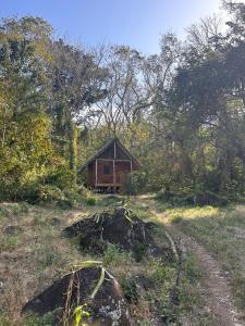 a small red cabin in the middle of a forest at Writer's Cabin in Santa Cruz