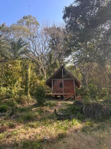 a small hut in the middle of a forest at Writer's Cabin in Santa Cruz