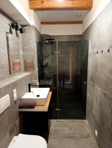 a bathroom with a shower and a sink and a toilet at Otava apartments - Rezidence Valcha in Sušice +31 photos