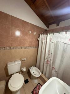 a bathroom with a toilet and a sink at apartamentos Don Oscar in Federación