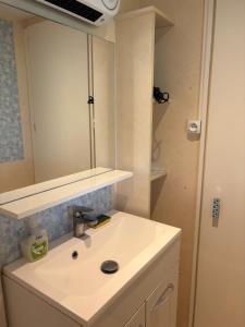 a bathroom with a white sink and a mirror at Bungalow bleu in Roquebrune-sur-Argens