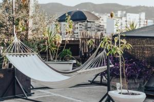 a hammock on a balcony with potted plants at Roof Top Hostel in Tirana