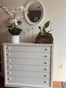 a dresser with a mirror and some plants on it at AgroVila ABEL in Şoimoş +3 photos