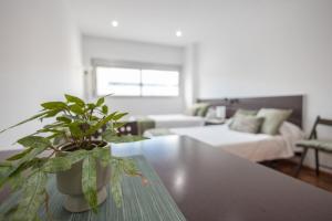 a living room with a potted plant on a table at GuestReady - Domocenter studio with garage in Bormujos