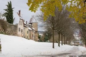a snowy street with trees and a building at Hine Adon Avenches A2 Hotel Aparthotel with Tea room - Self Checkin in Avenches