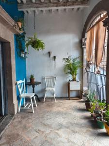 a patio with two chairs and a table with plants at Sukha Hostel San Luis in San Luis Potosí