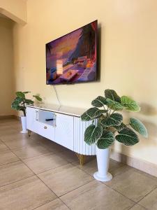 a flat screen tv on a wall with two plants at COZY Two BEDROOM in Bamburi