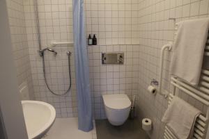 a bathroom with a shower and a toilet and a sink at Zimmer am Ring - ruhiges Zimmer im Grünen, Frühstück auf eigener Terrasse mit Morgensonne und fußläufig zum Badeplatz Schwarzindien am Mondsee in Sankt Lorenz