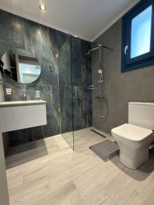 a bathroom with a shower and a toilet and a sink at Ampelitis Studios Lemnos in Agios Ioannis Kaspaka