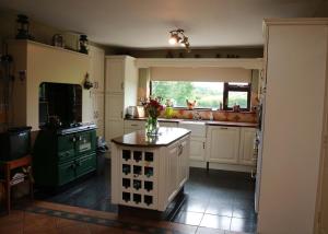 una cucina con un vaso di fiori su un bancone di Grangeview House B&B a Mullinderg