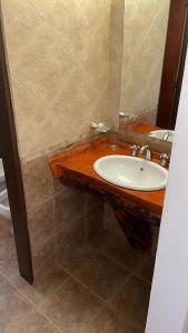 a bathroom with a sink and a mirror at Hosteria EL REFUGIO in Aluminé