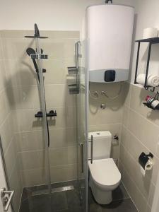 a bathroom with a toilet and a glass shower stall at BCM Weidinger in Mirce +16 photos