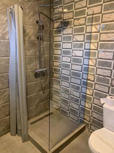 a shower with a glass door in a bathroom at PARAVANHouse in Constanţa