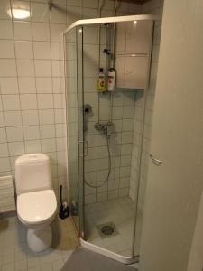 a bathroom with a shower with a toilet at Brahenkatu Apartment in Kajaani