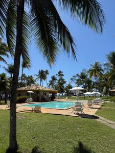 a resort with a swimming pool and a palm tree at Flat Ilhéus Olivença pé na areia no Condomínio Jubiaba in Ilhéus