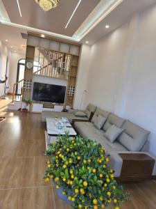 a living room with a couch and a large tree at Đức Khoa Villa Phu Quoc in Phú Quốc +10 photos