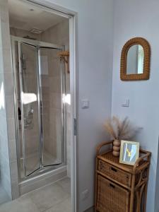 a walk in shower in a bathroom with a mirror at maison village 3 chambres 30 minutes du zoo de beauval in Saint-Cyran-du-Jambot +45 photos