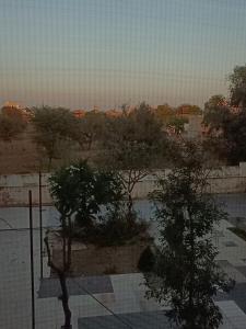 a view of a desert with trees and a fence at Hotel Sukhdev in Nawalgarh +16 photos