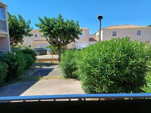 a view of a yard with bushes and a tree at Charmant studio à Balaruc-les-Bains avec parking inclus - FR-1-571-68 in Balaruc-les-Bains +2 photos