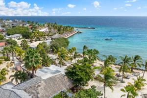 an aerial view of a beach with palm trees and the ocean at Villa CuraSea in Jan Thiel