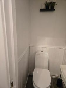a white bathroom with a toilet and a sink at Takelvdal in Björklid