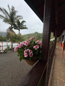 a pot of pink flowers sitting on a fence at Hotel Dulce Campestre in Jardin
