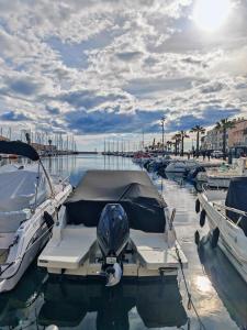 a group of boats docked in a harbor at Cocon douillet près de l'étang in Mèze