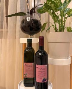 two bottles of wine sitting next to a potted plant at DalGra room e garden in Torrevecchia Teatina