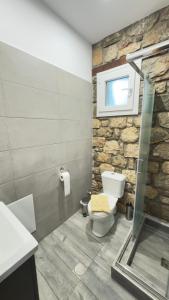 a bathroom with a toilet and a stone wall at Villa Lochia - Το Πέτρινο του Θωμά in Rámia