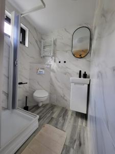 a white bathroom with a toilet and a mirror at Nord Hill in Poiana Negrii