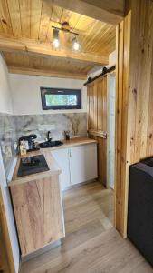 a kitchen with a sink and a counter top at Nord Hill in Poiana Negrii +5 photos