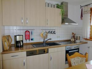 eine Küche mit einer Spüle und einer Arbeitsplatte in der Unterkunft Blissful Apartment in Altenau with Patio in Altenau