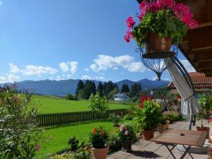 eine Terrasse mit Blumen und einem Blumenkorb in der Unterkunft Blissful Apartment in Altenau with Patio in Altenau