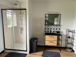 a bathroom with a shower and a sink and a mirror at Les camins in Hirel