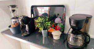 a counter top with flowers and a coffee maker at Hervas Centro Apartamento IDEAL FAMILIAS 6 adultos y 2 niños- in Hervás