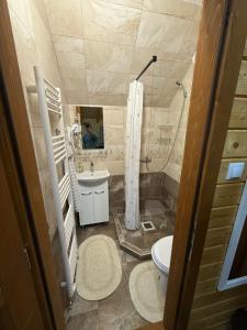 a bathroom with a shower and a sink and a toilet at Székelyföld,Siklódi Kő Vendégház, Csűr in Şiclod +54 photos