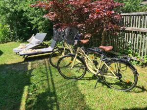 two bikes parked in the grass next to a bench at Apartment Kraxler Single by Interhome in Weißenstadt