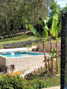 a palm tree next to a swimming pool at La Marceline Gîte avec piscine près de Lascaux IV in Aubas