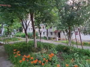 a garden with orange flowers and trees on a street at Dani Cute in Vaslui