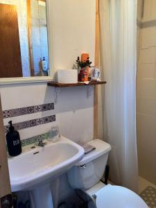 a bathroom with a sink and a toilet and a mirror at Tiny House, Tiny Black Frutillar in Frutillar +25 photos