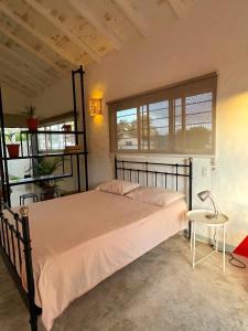 a bedroom with a bed and a table and two windows at NEW MORINGA in Las Terrenas