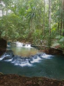 a painting of a waterfall in the jungle at Manyailov Homestay in Mantaak +3 photos