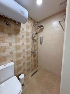 a bathroom with a shower and a toilet in it at Boutique Rooms Desi 2 in Pleven